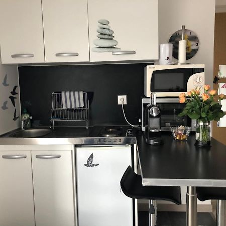 Joli Studio A Euroairport-Basel-Mulhouse-Freiburg سا لووي المظهر الخارجي الصورة